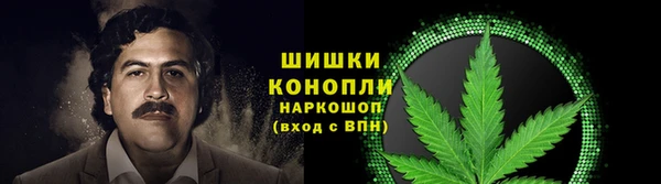 jwh Алзамай