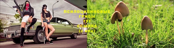 винт Абдулино