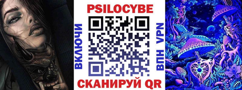 Галлюциногенные грибы Psilocybe  Струнино 